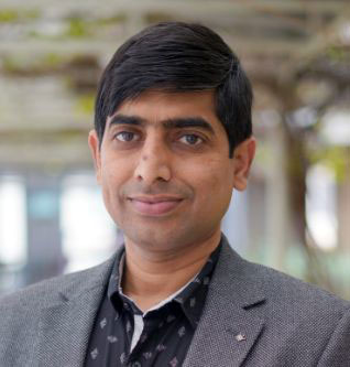 Narayan Kumar
