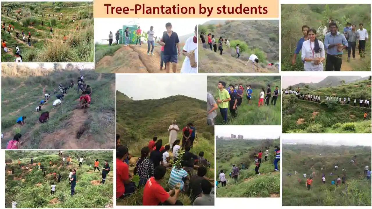 Tree-Plantations-by-students-01 (1)