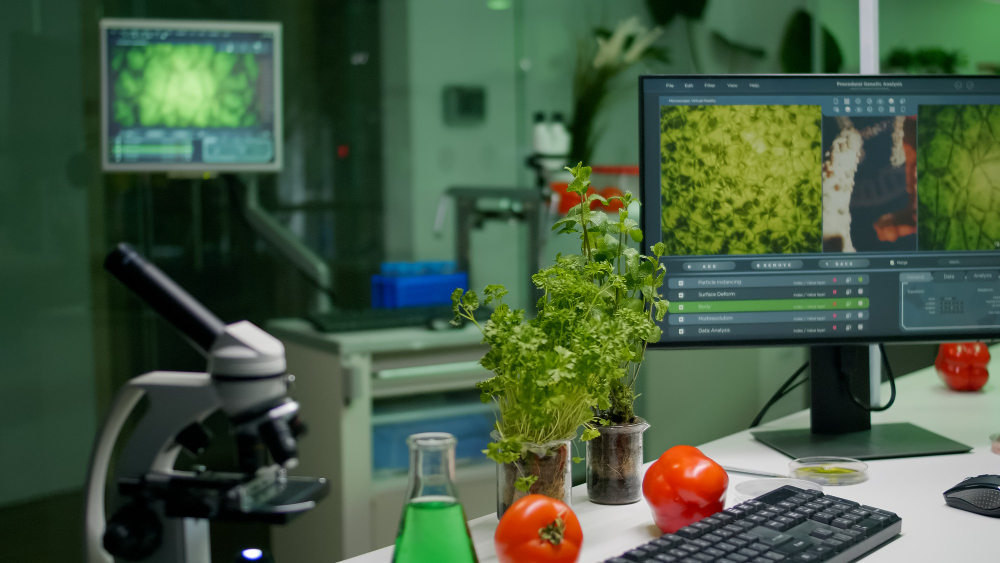 BTech Biotechnology: 7 Hottest Career Opportunities You Must Not Miss | NIIT University